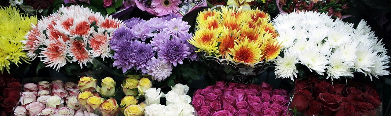  про нас, магазин квітів у Фастові, Орхідея, квіти на замовлення, доставка квітів, оформлення букетів до свят 