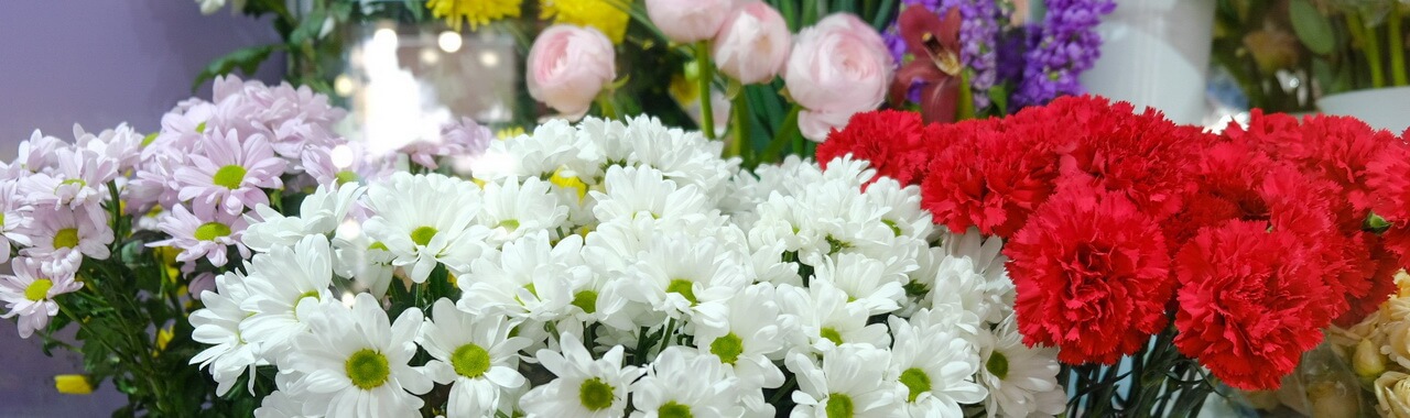  фото, новини, магазин квітів у Фастові, Орхідея, квіти на замовлення, доставка квітів, оформлення букетів до свят 